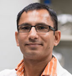 Dr. Jogender Tushir Singh photo